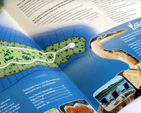 Timberlake Bay Brochure